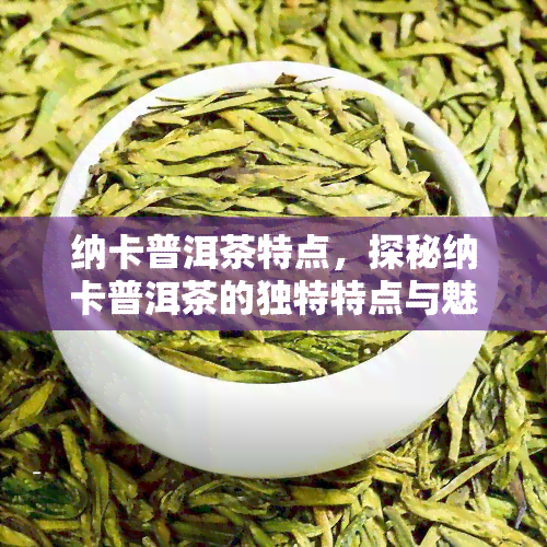 纳卡普洱茶特点，探秘纳卡普洱茶的独特特点与魅力