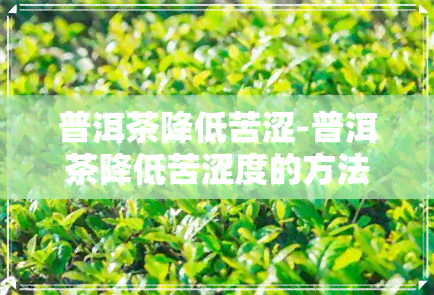 普洱茶降低苦涩-普洱茶降低苦涩度的方法