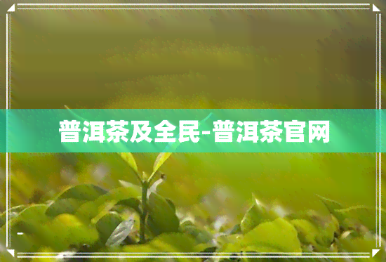 普洱茶及全民-普洱茶官网