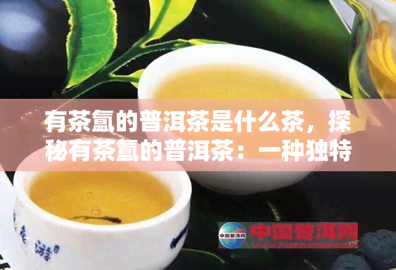 有茶氲的普洱茶是什么茶，探秘有茶氲的普洱茶：一种独特的茶类介绍