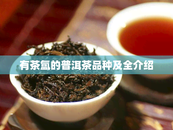 有茶氲的普洱茶品种及全介绍