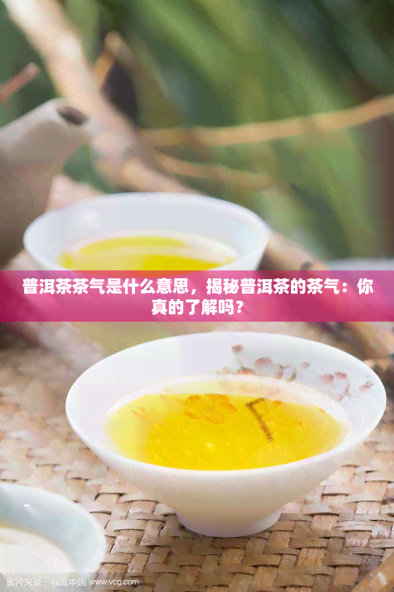 普洱茶茶气是什么意思，揭秘普洱茶的茶气：你真的了解吗？