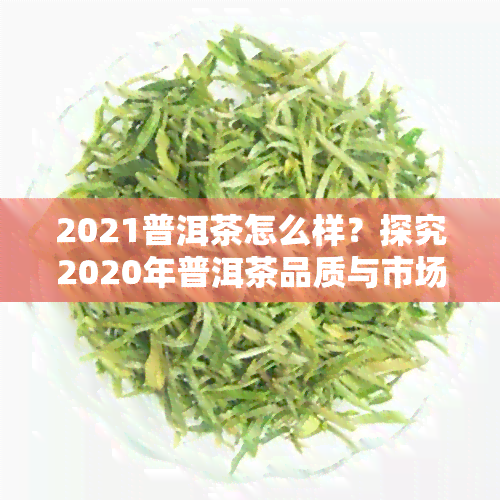 2021普洱茶怎么样？探究2020年普洱茶品质与市场趋势