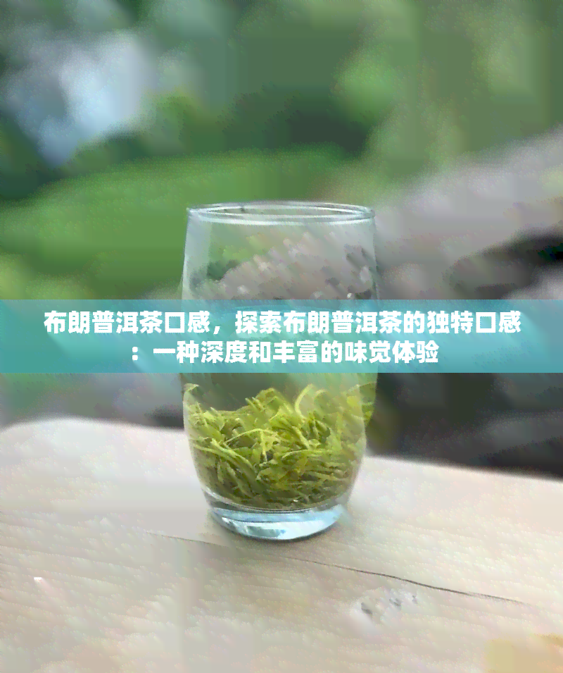 布朗普洱茶口感，探索布朗普洱茶的独特口感：一种深度和丰富的味觉体验