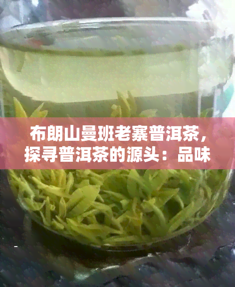 布朗山曼班老寨普洱茶，探寻普洱茶的源头：品味布朗山曼班老寨的独特韵味