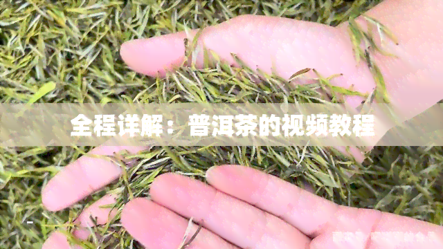 全程详解：普洱茶的视频教程