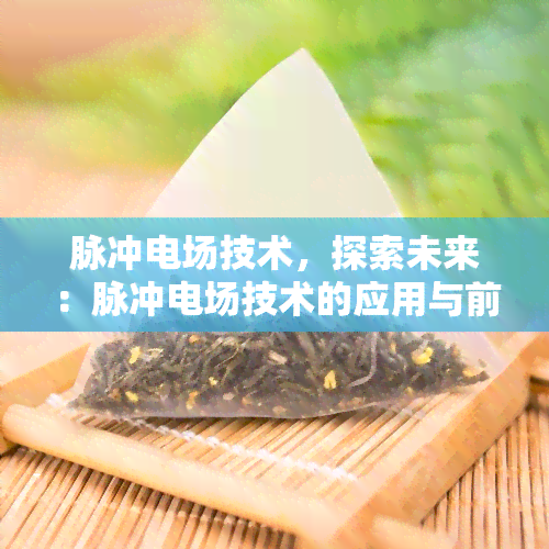 脉冲电场技术，探索未来：脉冲电场技术的应用与前景