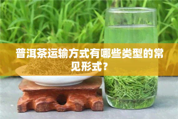 普洱茶运输方式有哪些类型的常见形式？