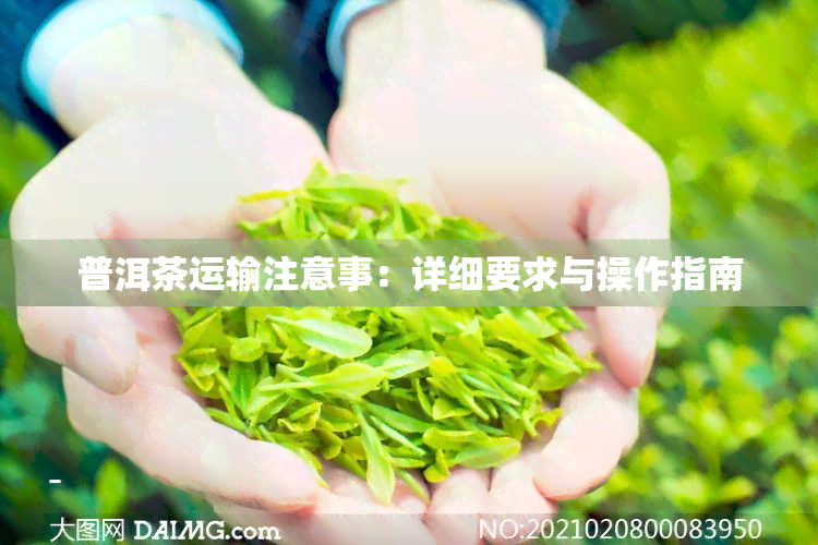 普洱茶运输注意事：详细要求与操作指南