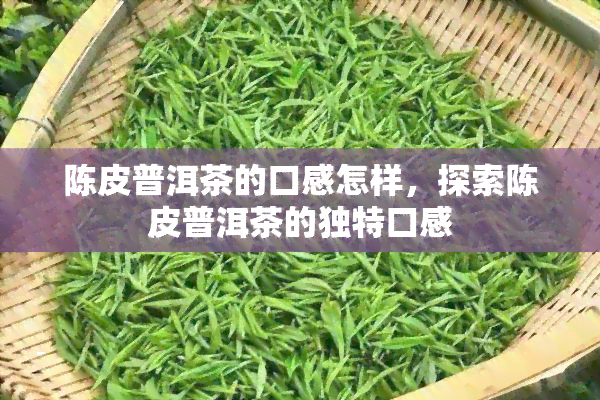 陈皮普洱茶的口感怎样，探索陈皮普洱茶的独特口感