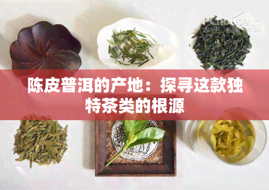 陈皮普洱的产地：探寻这款独特茶类的根源