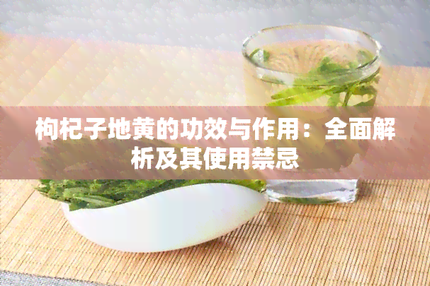 枸杞子地黄的功效与作用：全面解析及其使用禁忌