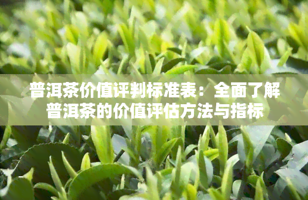 普洱茶价值评判标准表：全面了解普洱茶的价值评估方法与指标