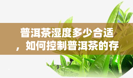 普洱茶湿度多少合适，如何控制普洱茶的存度和湿度？