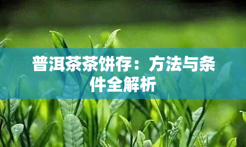 普洱茶茶饼存：方法与条件全解析