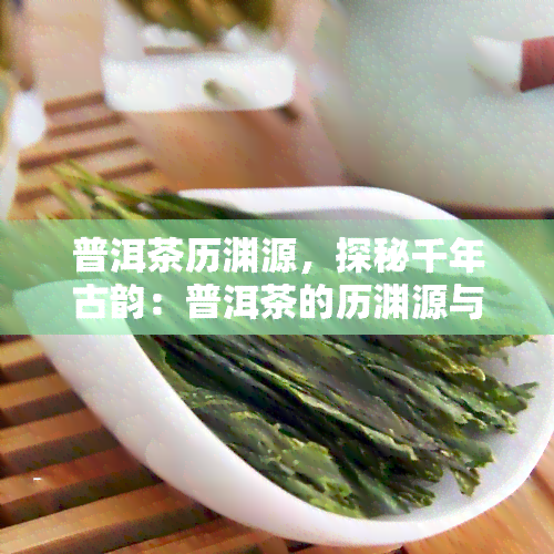 普洱茶历渊源，探秘千年古韵：普洱茶的历渊源与文化内涵