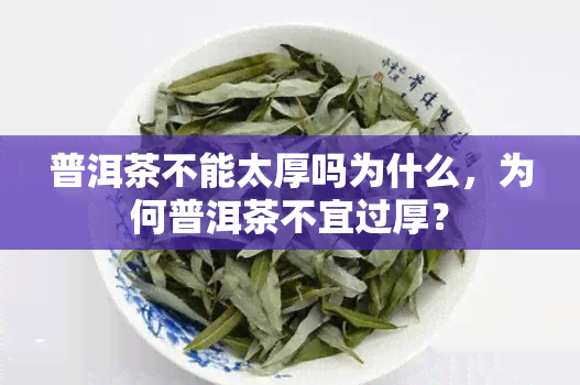 普洱茶不能太厚吗为什么，为何普洱茶不宜过厚？