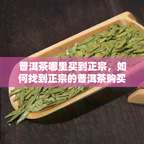 普洱茶哪里买到正宗，如何找到正宗的普洱茶购买渠道？