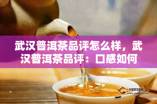 武汉普洱茶品评怎么样，武汉普洱茶品评：口感如何？值得一试吗？