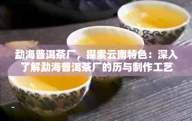 勐海普洱茶厂，探索云南特色：深入了解勐海普洱茶厂的历与制作工艺