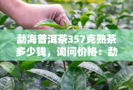 勐海普洱茶357克熟茶多少钱，询问价格：勐海普洱茶357克熟茶的市场行情是多少？