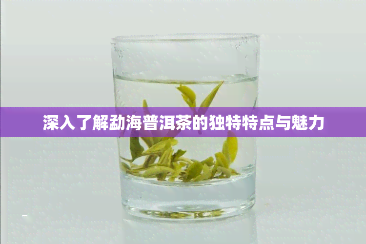 深入了解勐海普洱茶的独特特点与魅力