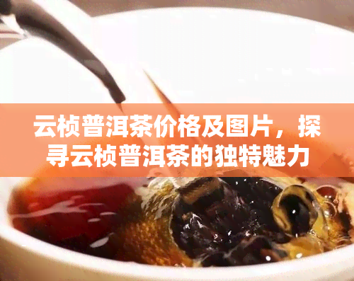 云桢普洱茶价格及图片，探寻云桢普洱茶的独特魅力：价格与图片全解析