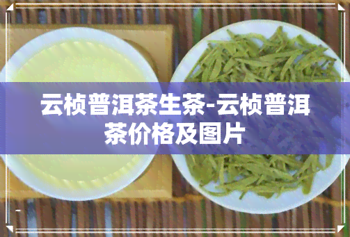 云桢普洱茶生茶-云桢普洱茶价格及图片