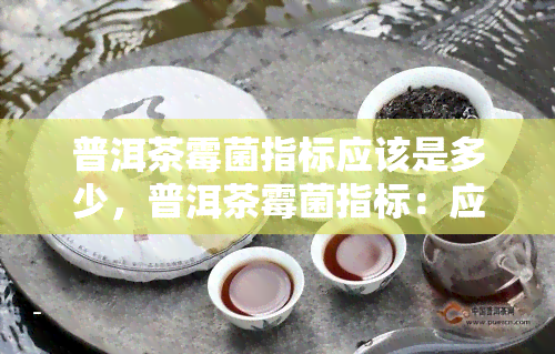 普洱茶霉菌指标应该是多少，普洱茶霉菌指标：应该控制在什么围内？