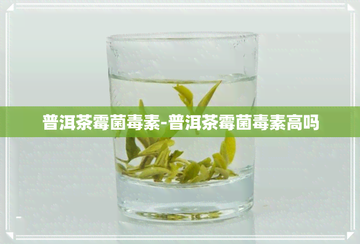 普洱茶霉菌素-普洱茶霉菌素高吗