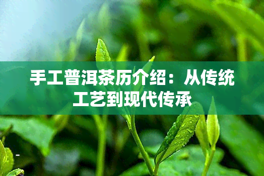 手工普洱茶历介绍：从传统工艺到现代传承