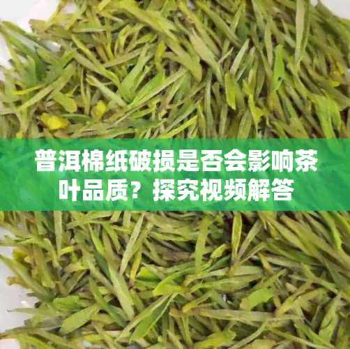 普洱棉纸破损是否会影响茶叶品质？探究视频解答