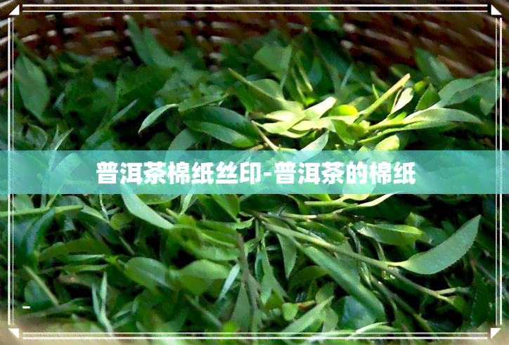 普洱茶棉纸丝印-普洱茶的棉纸