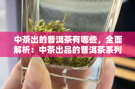 中茶出的普洱茶有哪些，全面解析：中茶出品的普洱茶系列一览