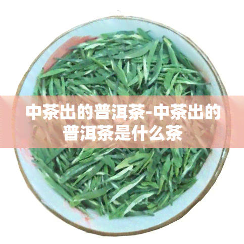 中茶出的普洱茶-中茶出的普洱茶是什么茶