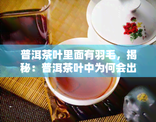 普洱茶叶里面有羽毛，揭秘：普洱茶叶中为何会出现羽毛？