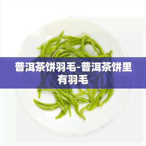 普洱茶饼羽毛-普洱茶饼里有羽毛