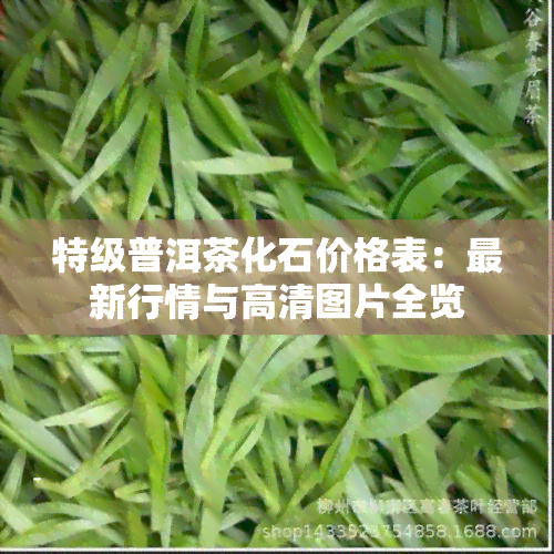 特级普洱茶化石价格表：最新行情与高清图片全览