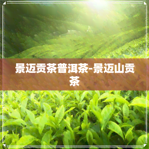 景迈贡茶普洱茶-景迈山贡茶