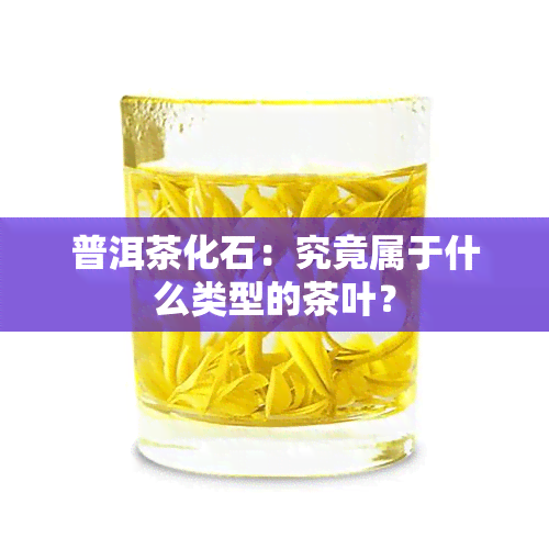 普洱茶化石：究竟属于什么类型的茶叶？