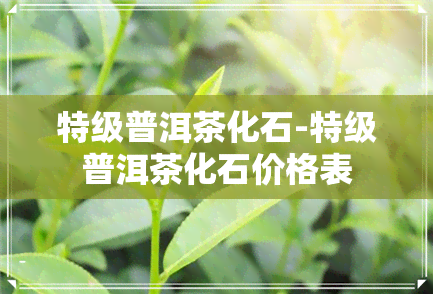 特级普洱茶化石-特级普洱茶化石价格表