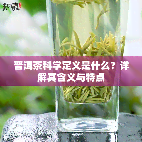 普洱茶科学定义是什么？详解其含义与特点