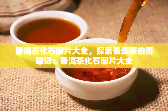 普洱茶化石图片大全，探索普洱茶的历印记：普洱茶化石图片大全