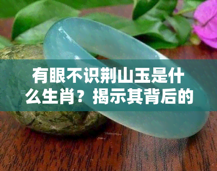 有眼不识荆山玉是什么生肖？揭示其背后的秘密