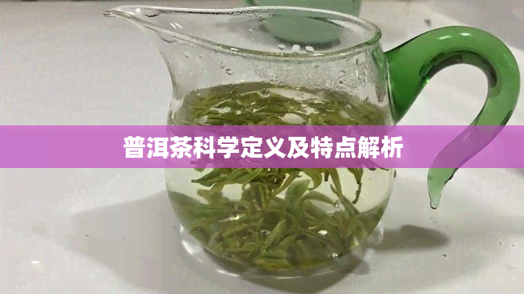 普洱茶科学定义及特点解析