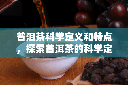 普洱茶科学定义和特点，探索普洱茶的科学定义与独特特点