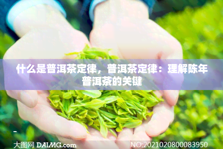 什么是普洱茶定律，普洱茶定律：理解陈年普洱茶的关键