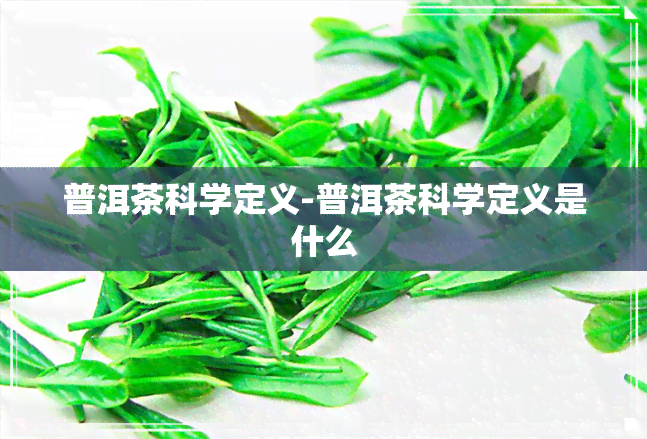 普洱茶科学定义-普洱茶科学定义是什么