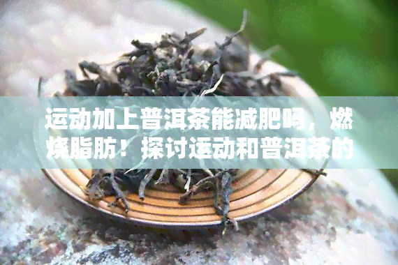 运动加上普洱茶能减肥吗，燃烧脂肪！探讨运动和普洱茶的减肥效果