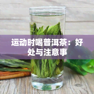 运动时喝普洱茶：好处与注意事